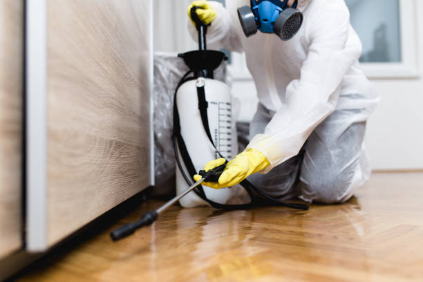 Best Best Pest Control Companies  in Pelican Bay, FL