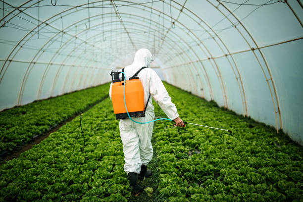 Best Cockroach Control Services  in Pelican Bay, FL