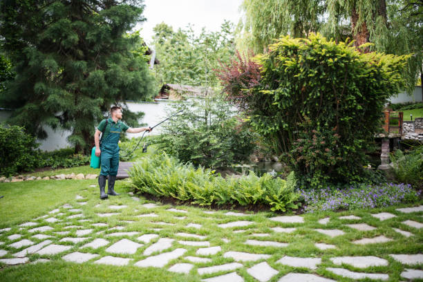 Best Residential Pest Control  in Pelican Bay, FL