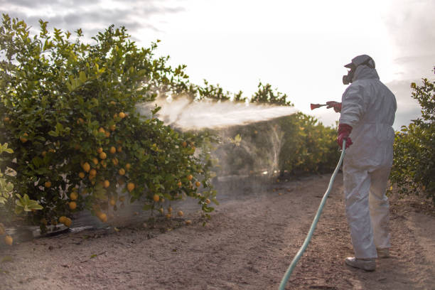 Best Pest Control for Businesses  in Pelican Bay, FL