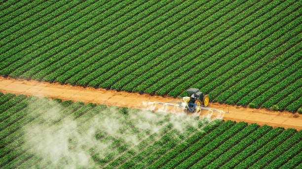 Best Pest Removal Services  in Pelican Bay, FL