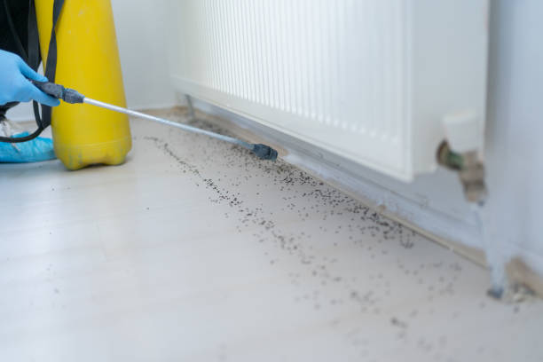 Best Bed Bug Extermination  in Pelican Bay, FL