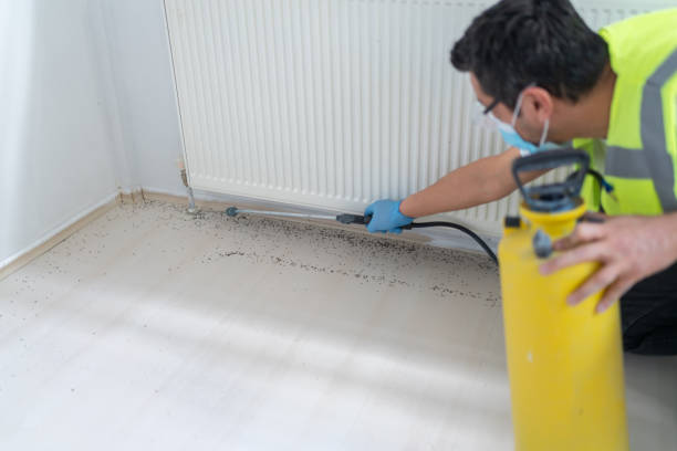 Best Pest Control Cost  in Pelican Bay, FL