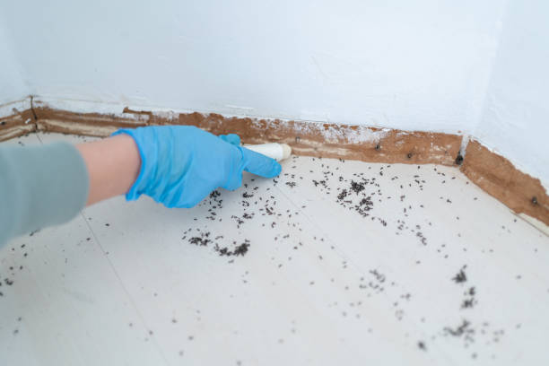 Best Best Pest Control Companies  in Pelican Bay, FL
