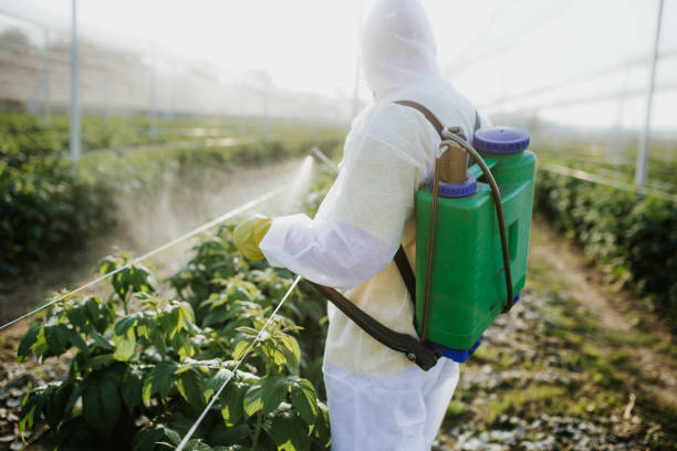 Best Pest Control Near Me  in Pelican Bay, FL